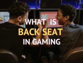 What Is Backseat Gaming?